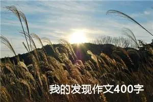 我的发现作文400字四年级（精选10篇）