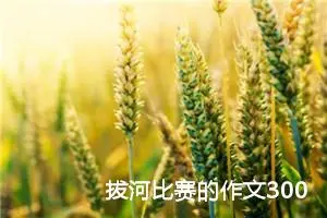 拔河比赛的作文300字四年级（精选10篇）