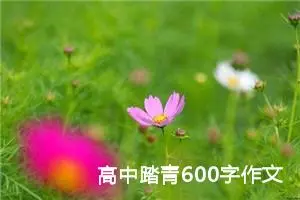 高中踏青600字作文（精选20篇）