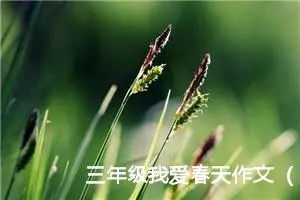 三年级我爱春天作文（精选10篇）