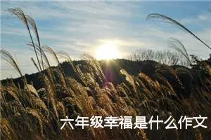 六年级幸福是什么作文（精选10篇）