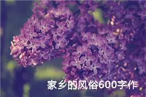 家乡的风俗600字作文六年级（精选13篇）