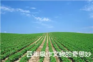 四年级作文我的奇思妙想400字（精选10篇）