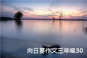 向日葵作文三年级300字（精选10篇）