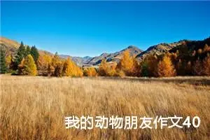 我的动物朋友作文400字四年级下册（精选13篇）