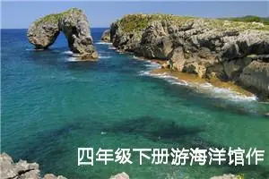 四年级下册游海洋馆作文400字（精选10篇）