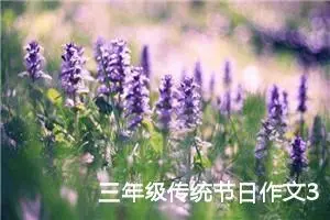 三年级传统节日作文300字（通用10篇）