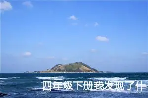 四年级下册我发现了什么作文400字（精选10篇）