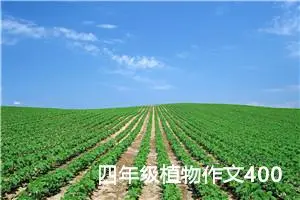 四年级植物作文400字（通用10篇）