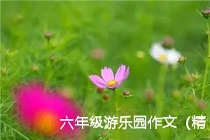 六年级游乐园作文（精选10篇）