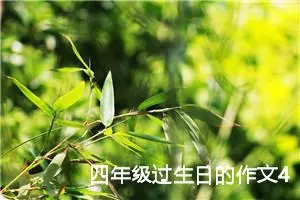 四年级过生日的作文400字（精选10篇）