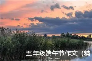 五年级端午节作文（精选20篇）