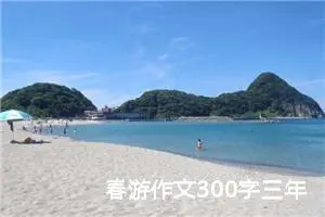 春游作文300字三年级（精选13篇）