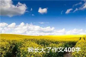 我长大了作文400字小学生四年级（精选10篇）