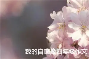 我的自画像四年级作文400字（精选13篇）