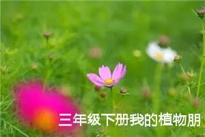 三年级下册我的植物朋友300字作文（精选13篇）