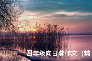 四年级向日葵作文（精选10篇）