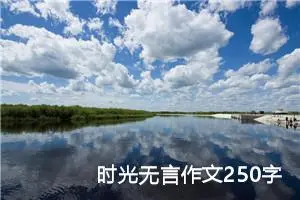 时光无言作文250字