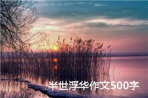 半世浮华作文500字