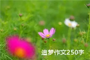 追梦作文250字