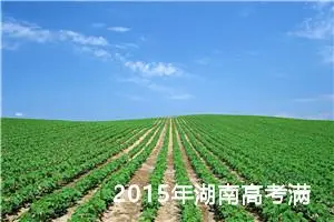 2015年湖南高考满分作文：虽去不了远方，也不负春光