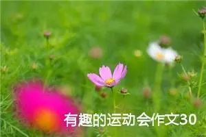 有趣的运动会作文300字三年级（精选10篇）