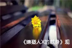 《嫌疑人X的献身》观后感作文750字