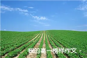 我的高一榜样作文 -我的个人资料