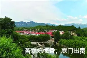 苦寒炼梅香，寒门出贵子作文800字