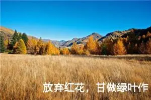 放弃红花，甘做绿叶作文800字