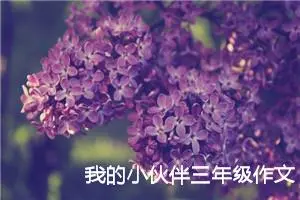 我的小伙伴三年级作文300字（精选13篇）