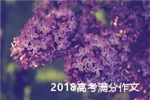 2018高考满分作文：千里之行，始于足下