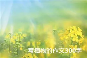 写植物的作文300字三年级（精选10篇）