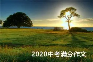 2020中考满分作文：见证美好