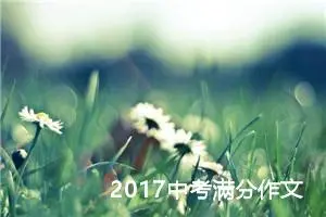 2017中考满分作文：慢慢地，我懂了