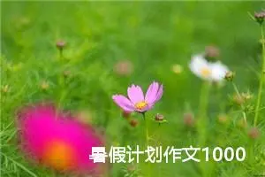 暑假计划作文1000字