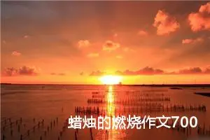 蜡烛的燃烧作文700字