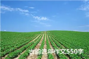 古韵流年作文550字