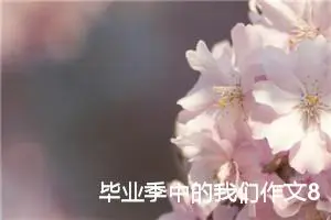 毕业季中的我们作文800字