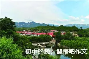 初中的我，醒悟吧作文750字