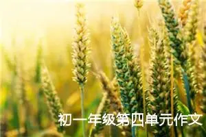 初一年级第四单元作文600字：这一天，我回家晚了