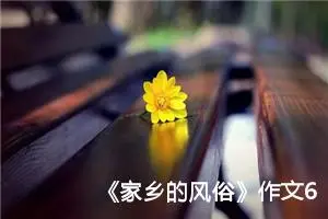 《家乡的风俗》作文600字