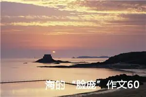 海的“脸庞”作文600字