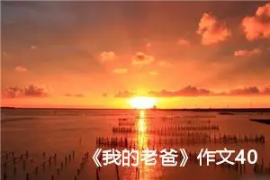 《我的老爸》作文400字