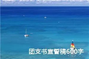 团支书宣誓稿600字