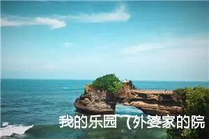 我的乐园（外婆家的院子）作文600字