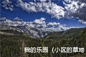 我的乐园（小区的草地）作文500字