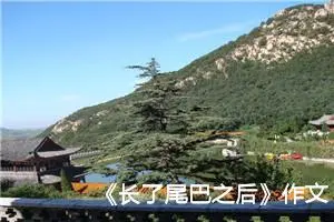 《长了尾巴之后》作文300字