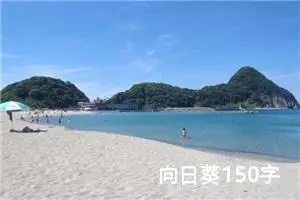 向日葵150字