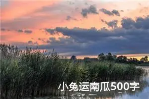 小兔运南瓜500字